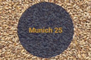 Солод весовой Мюнхенский 25 / Munich 25, 20-30 EBC (Soufflet)
