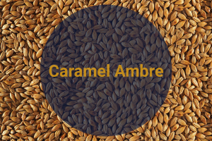 Солод Карамельный Янтарный / Caramel Ambre, 100-120 EBC (Soufflet),1 кг.