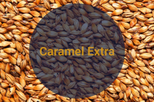 Солод Карамельный Экстра / Caramel Extra, 230-270 EBC (Soufflet), 1 кг.